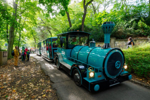 13. září 2025 - 50 let Zooparku Chomutov