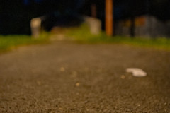 DSC07908