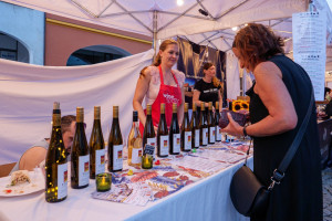 7. září 2024 - Chomutovský festival vína