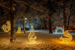 DSC09258-HDR