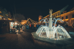 DSC06585